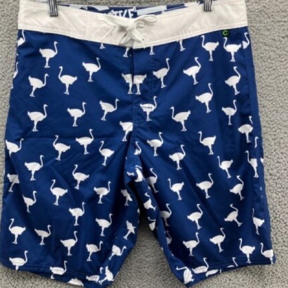 ⭐️Chivery,Chive-On,Swim Trunks, Excellent Condition,Fantastic Bird Print,Size 36 - Picture 4 of 9